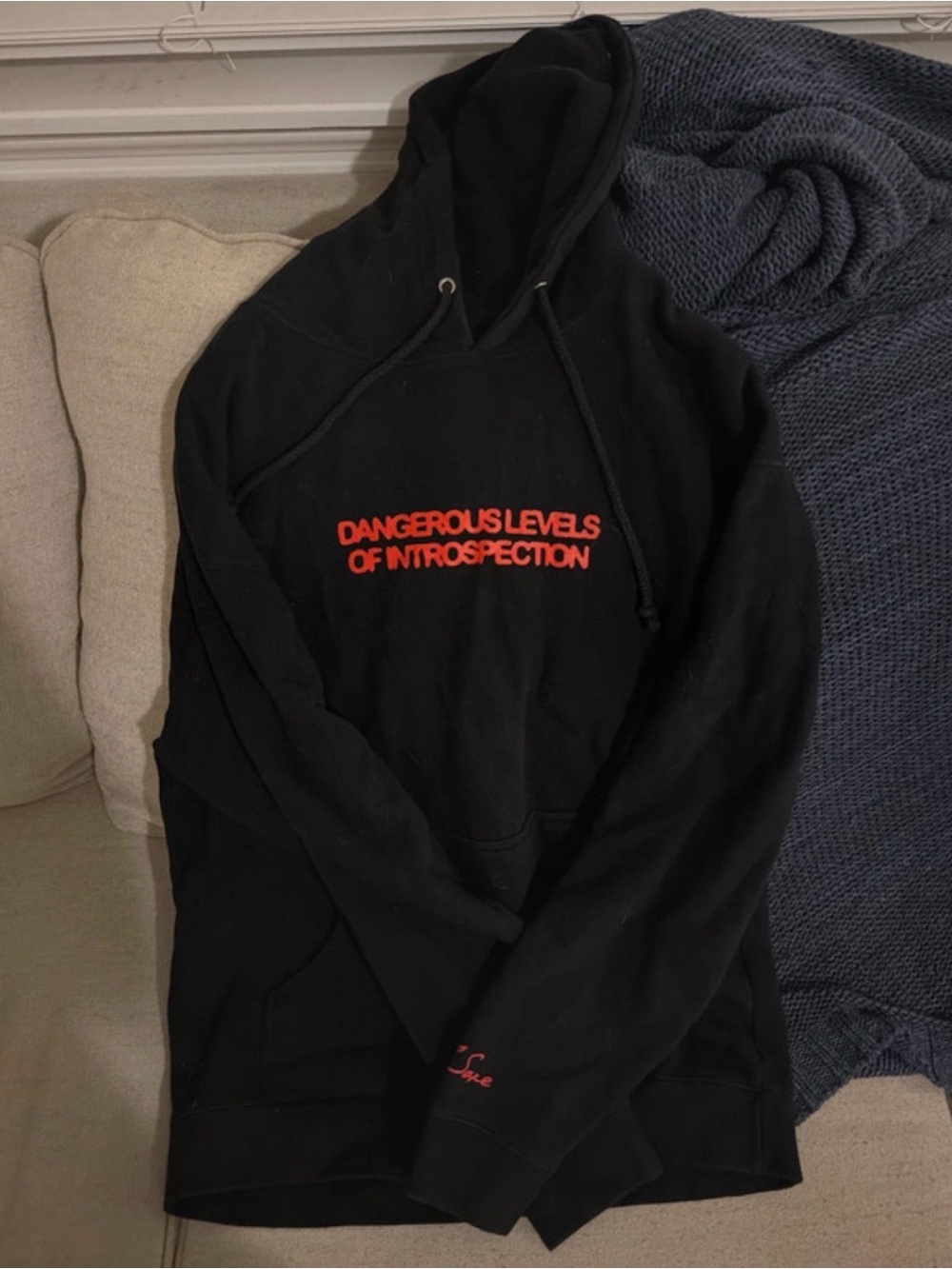 Black Hoodie with Red 'Dangerous Levels of Introspection' Text